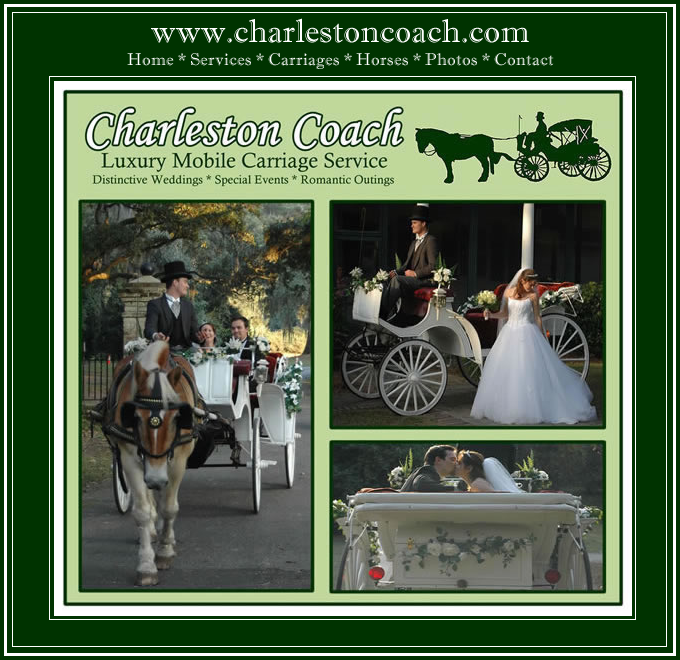 Charleston Coach Horse Drawn Wedding Carriage Service (843) 709-0988